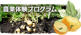 農業体験プログラム