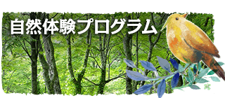 自然体験プログラム