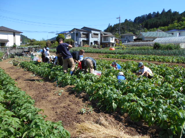 DSCN0243