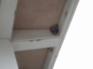DSCN0320
