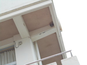 DSCN0321