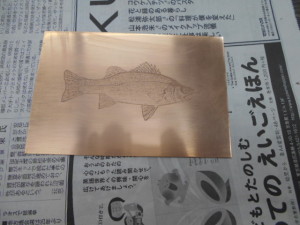 DSCN0340