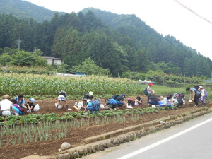 DSCN0597
