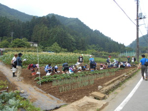 DSCN0600