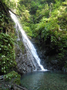 DSCN0754