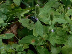 DSCN0846