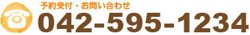TEL:042-595-1234