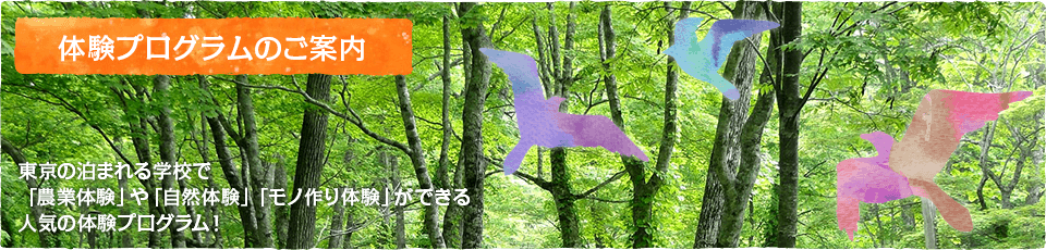 体験プログラム